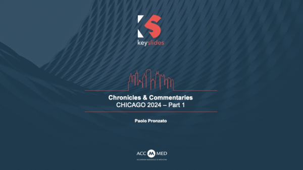 Chronicles &amp; Commentaries: Chicago 2024 - PART 1